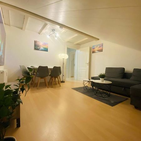 Deluxe Business Suite Mit Netflix Premium & Parkplatz, Zentral Zu Audi & Schwarz Gruppe With 2 Bedrooms Bad Friedrichshall Esterno foto