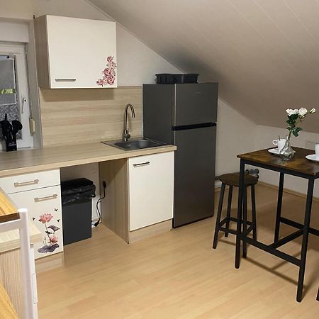 Deluxe Business Suite Mit Netflix Premium & Parkplatz, Zentral Zu Audi & Schwarz Gruppe With 2 Bedrooms Bad Friedrichshall Esterno foto