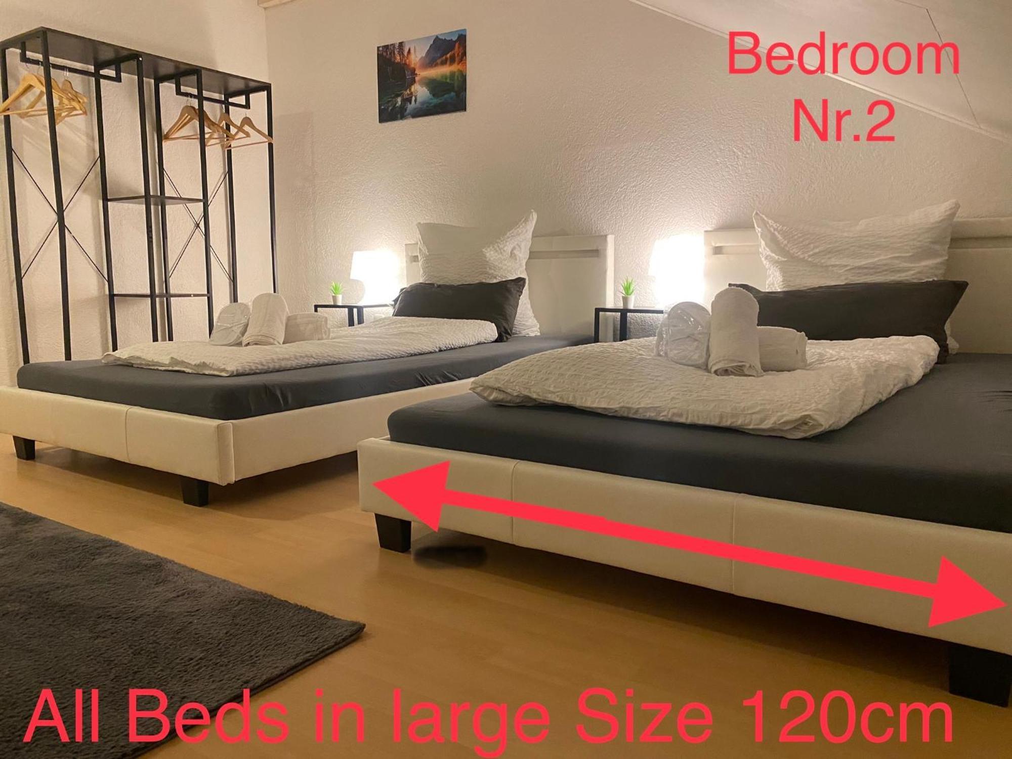 Deluxe Business Suite Mit Netflix Premium & Parkplatz, Zentral Zu Audi & Schwarz Gruppe With 2 Bedrooms Bad Friedrichshall Esterno foto
